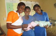 Making Primary Health Care Work in the Nigerian Village